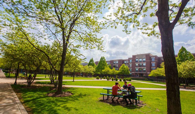 Students sit at a picnic table in the beautiful green campus courtyard. 